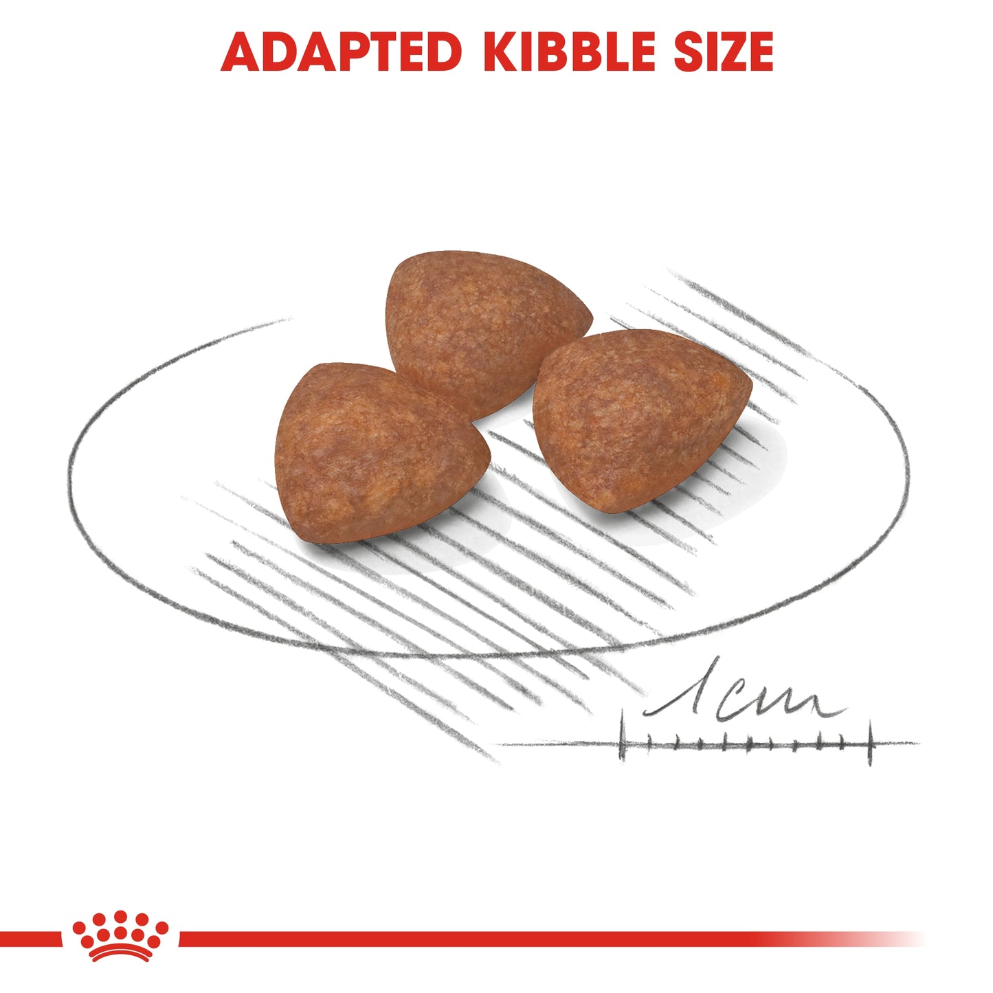 Royal Canin 1.5 kg Size Health Nutrition Mini Indoor Puppy