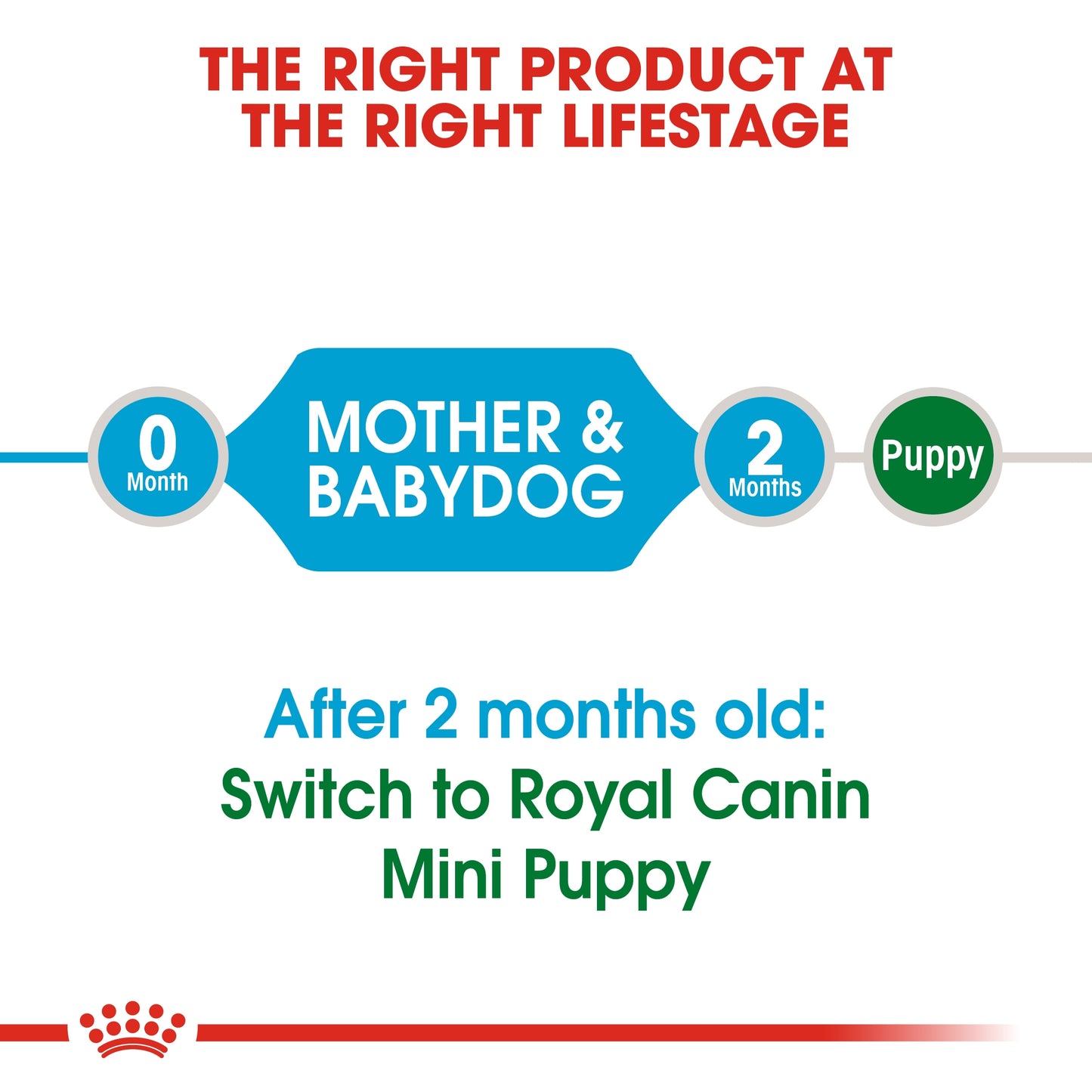 Royal Canin 1 kg Size Health Nutrition Mini Starter