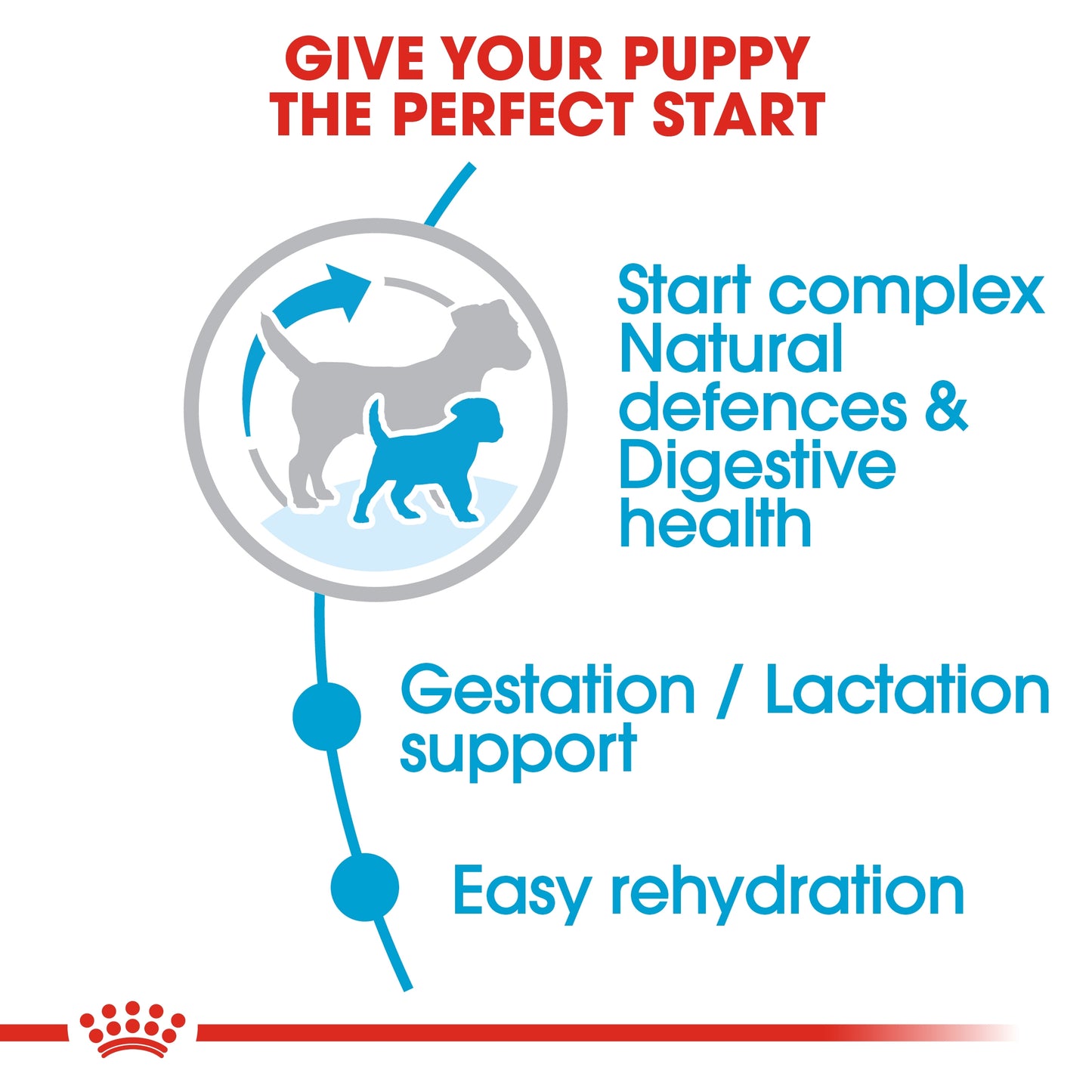 Royal Canin 1 kg Size Health Nutrition Mini Starter