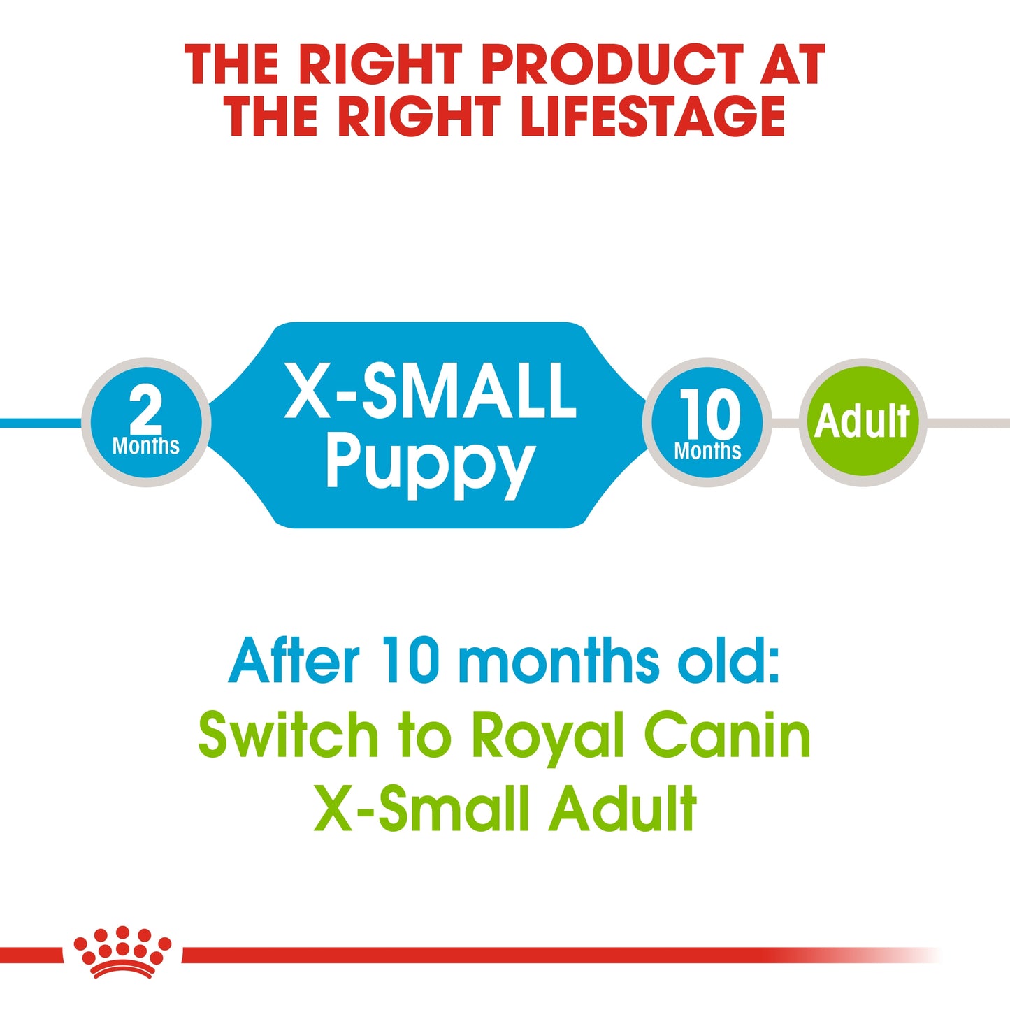 Royal Canin 1.5 kg Size Health Nutrition XS Puppy