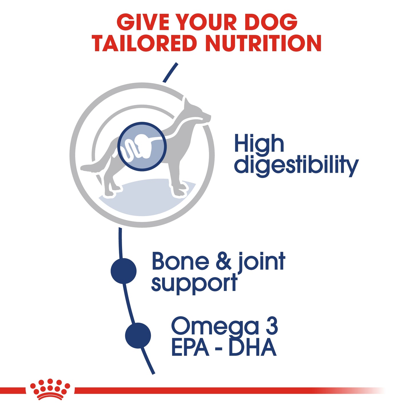 Royal Canin Size Health Nutrition Maxi Adult (Wet Food Pouches) 10 x 140 g