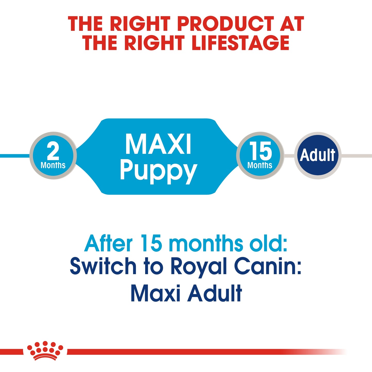 Royal Canin 10 x 140 gm Size Health Nutrition Maxi Puppy (Wet Food Pouches)