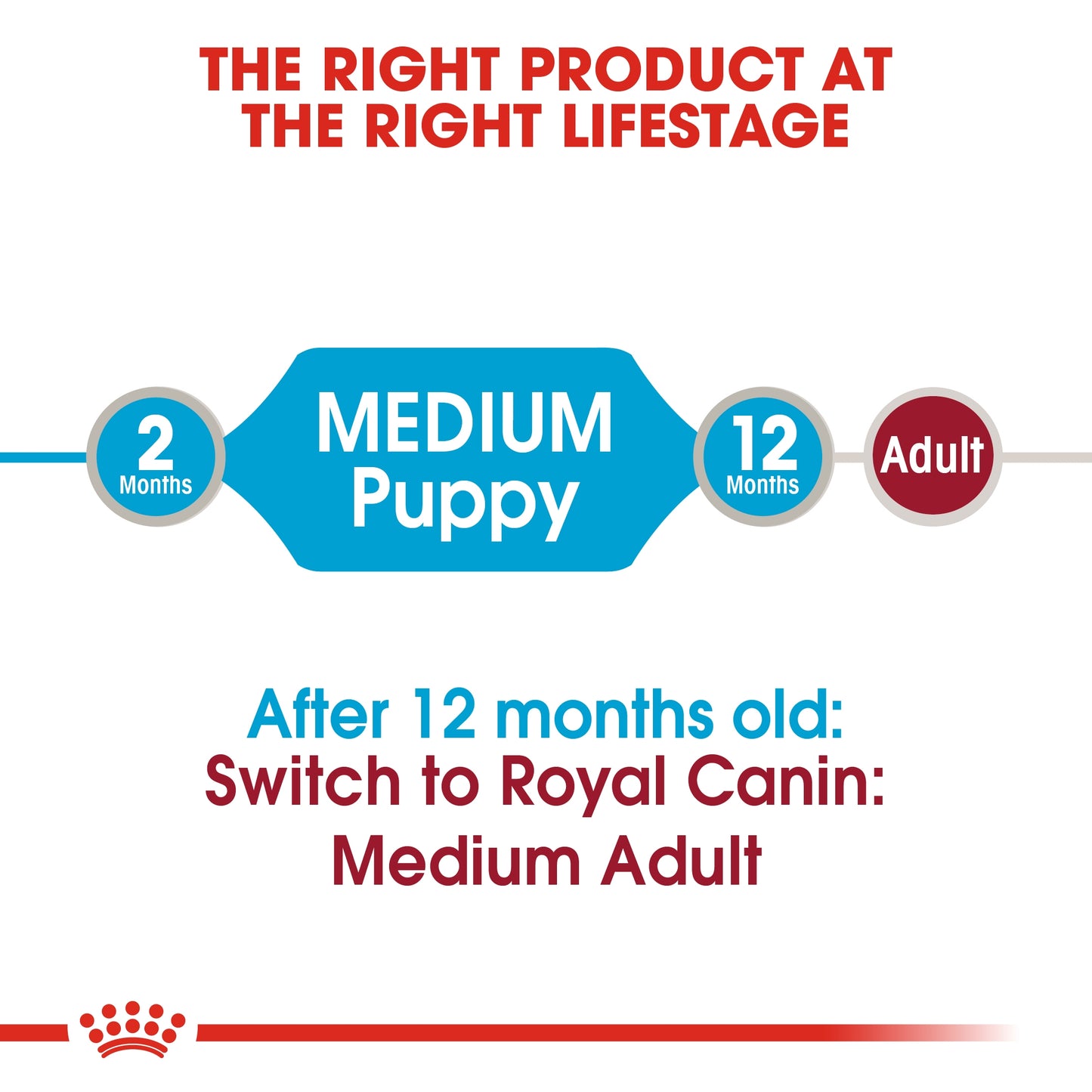 Royal Canin Size Health Nutrition Medium Puppy (Wet Food Pouches) 10 x 140 g