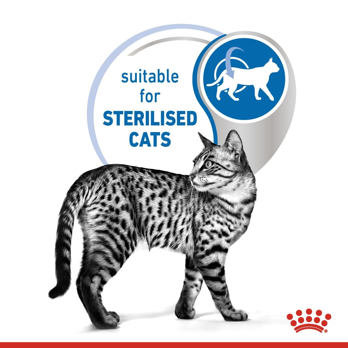 Royal Canin Feline Health Nutrition Indoor 7+ Jelly (Wet Food - Pouches) 12 x 85 g