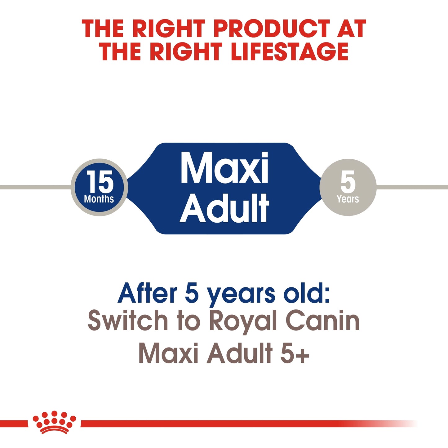 Royal Canin 1 kg Size Health Nutrition Maxi Adult