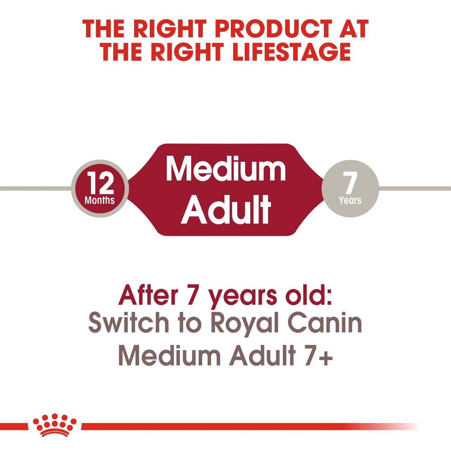Royal Canin Size Health Nutrition Medium Adult 1 kg