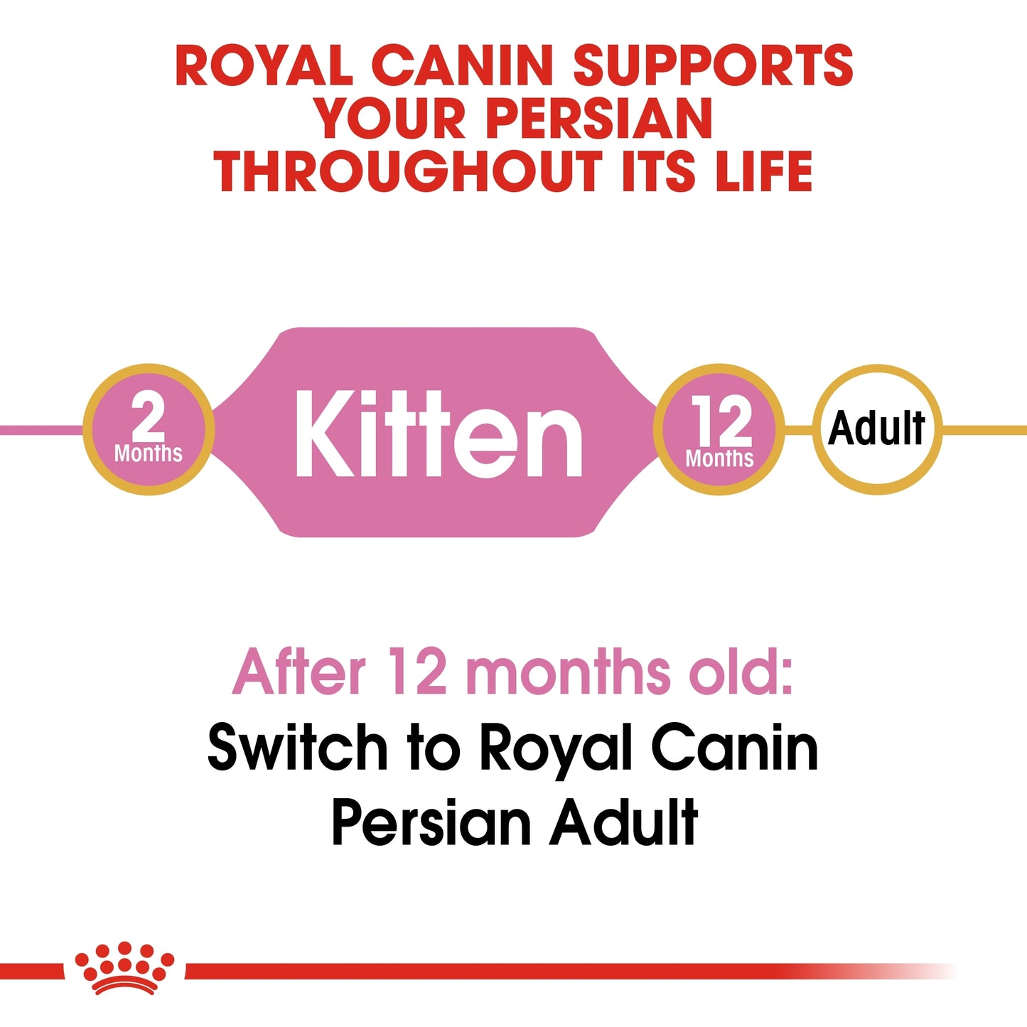 Royal Canin Feline Breed Nutrition Persian Kitten 400 g