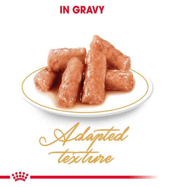 Royal Canin 12 x 85 gm Feline Breed Nutrition British Shorthair (Wet Food Pouches)