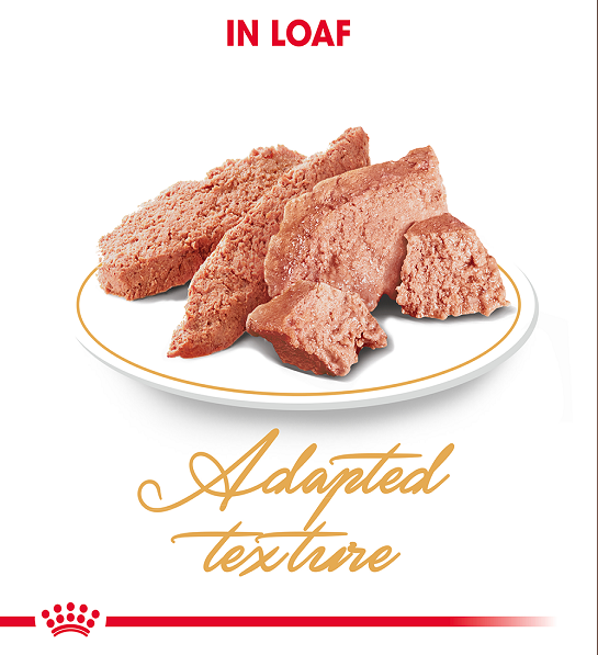 Royal Canin 12 x 85 gm Feline Breed Nutrition Persian (Wet Food Pouches)