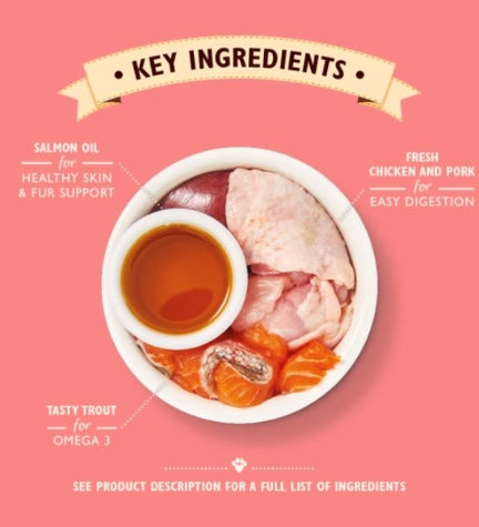 Lily's Kitchen Chicken Pate Kitten Wet Food 85G