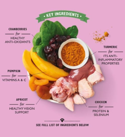 Lily's Kitchen Coronation Chicken Wet Dog Food 150G