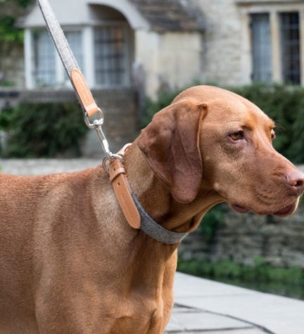 Mutts & Hounds Camello Leather & Grey Tweed Dog Collar
