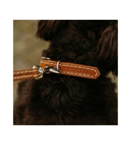 Huntlea Leopard Leather Dog Collar