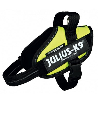 Julius-K9 IDC Neon Green Power Harness for Dogs