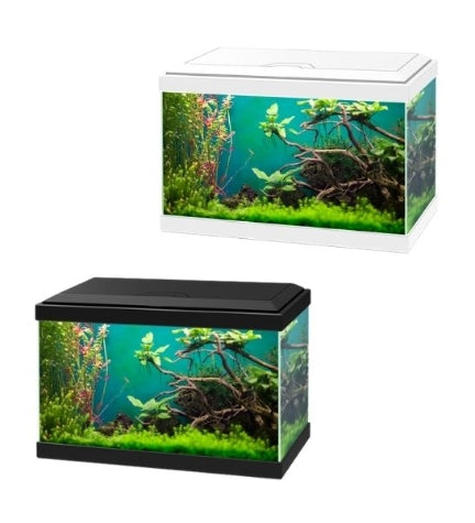Ciano Aqua 20 Aquarium with LED Light