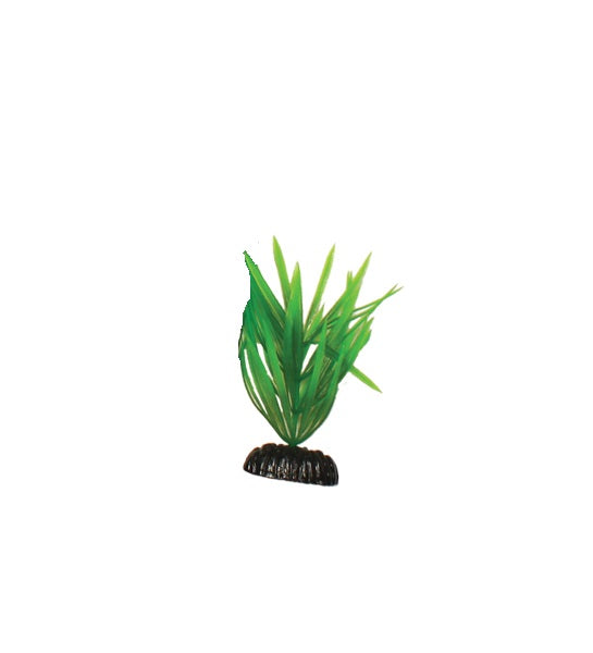 Hugo Kamishi Pogestemon Aquarium Plant Decor