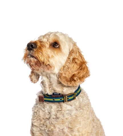 Danish Design FatFace Bold Stripe Woven Dog Collar