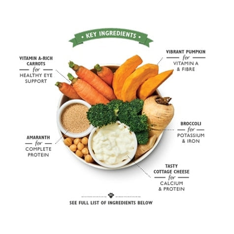 Lily's Kitchen Wholesome Veggie Feast Wet Dog Food 375G