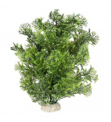 Aqua D'Ella Plant Phoenix for Aquariums