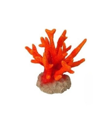 Aqua D'Ella Coral Seriatopora Red for Aquariums