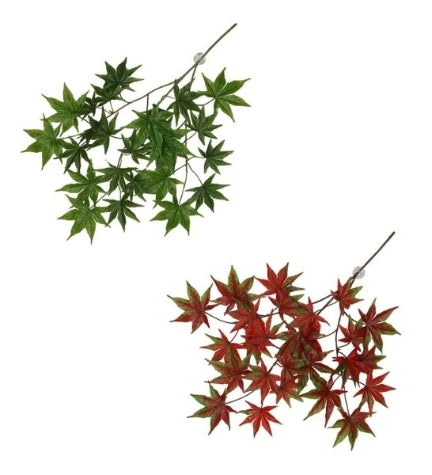 Terra D'Ella Hanging Leaf Plant
