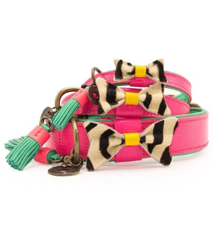 DWAM Blossom Dog Collar