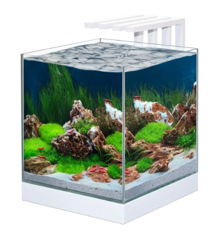 Ciano Nexus Pure 25 Aquarium