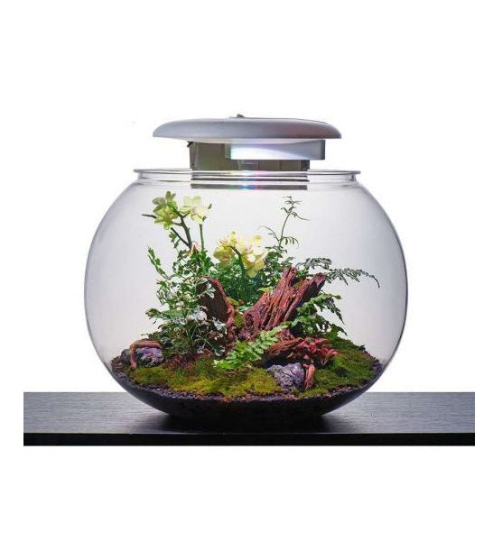 Katachi Lifestyle Kyu Acrylic Globe 37L Aquarium