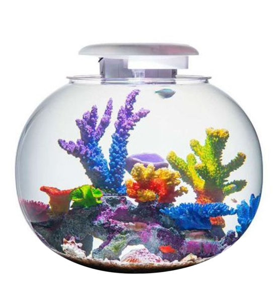 Katachi Lifestyle Kyu Acrylic Globe 52L Aquarium