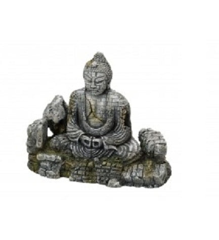 Aqua D'Ella Buddha for Aquariums