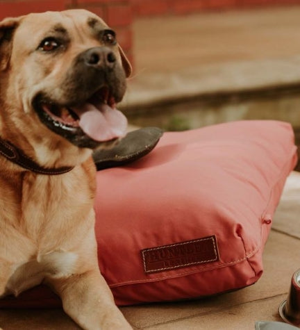 Huntlea Matlow Bed for Dogs