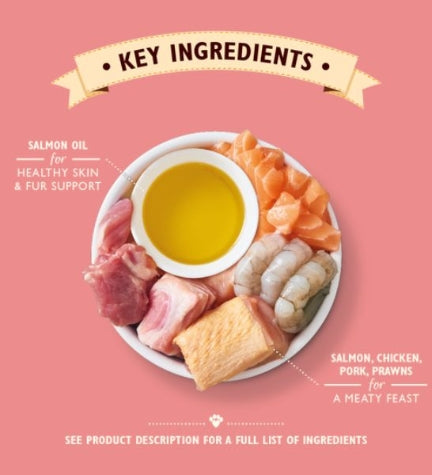 Lily's Kitchen Salmon & Chicken Pate Wet Cat Food 85G