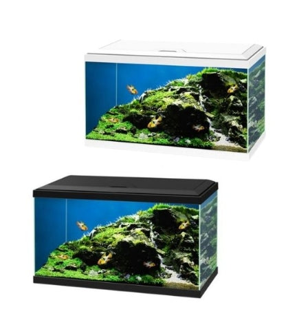 Ciano Aqua 60 Aquarium with LED Light