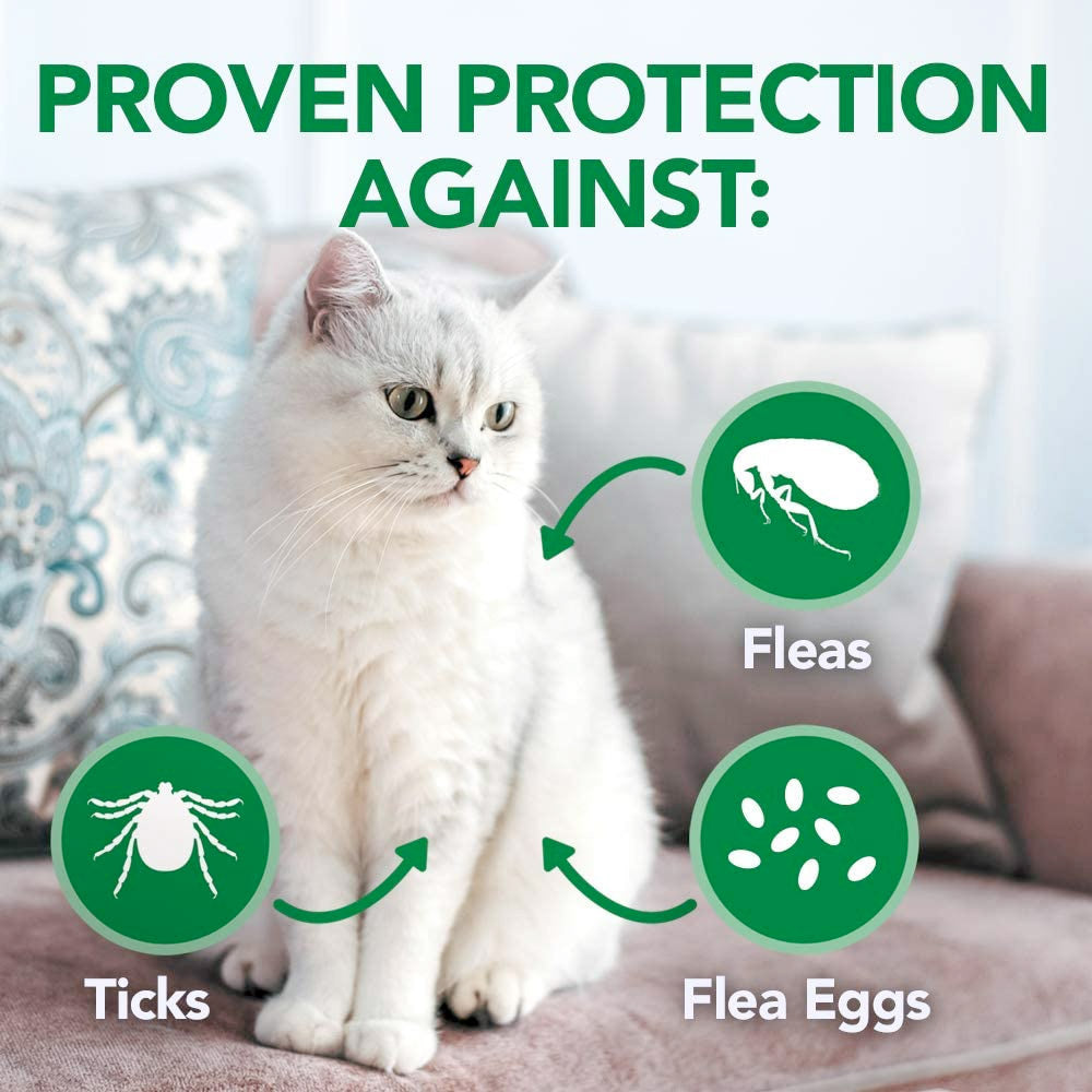 Vet's Best Flea and Tick Waterless Bath Foam for Cats 5oz