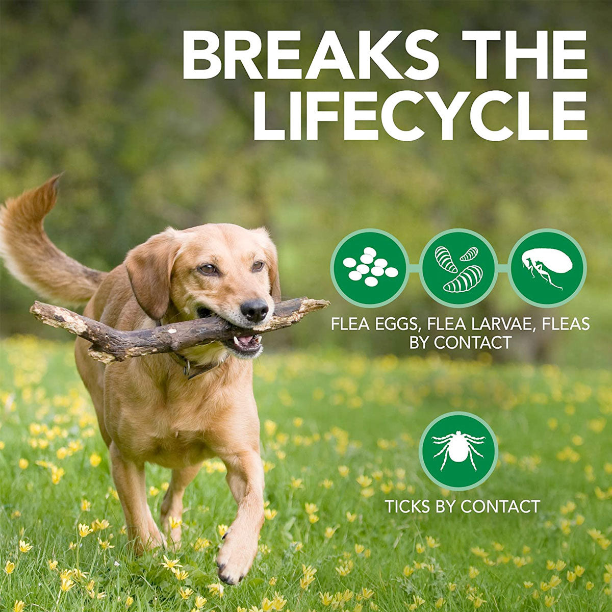 Vet's Best Flea, Tick and Mite Treaent Spray for Dogs, 500 ml