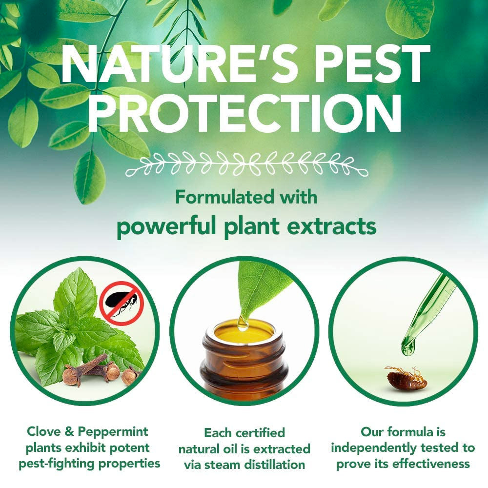 Vet's Best Flea and Tick Waterless Bath Foam for Cats 5oz