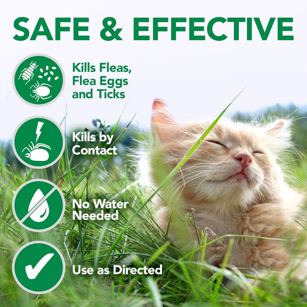 Vet's Best Flea and Tick Waterless Bath Foam for Cats 5oz