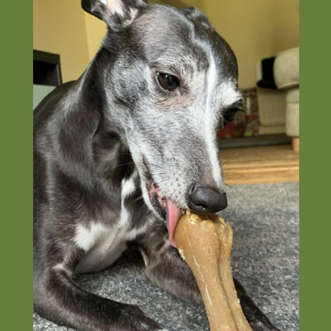 Whimzees Rice Bone Dental Dog Treat - Large (9pcs)