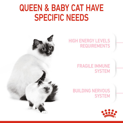 Royal Canin Feline Health Nutrition Mother & Babycat 4 kg