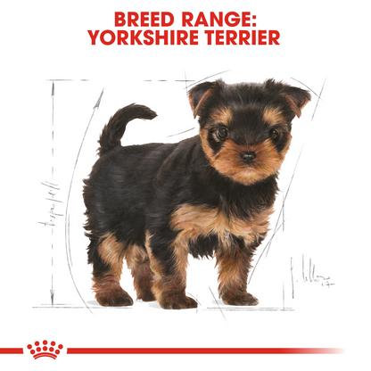 Royal Canin Breed Health Nutrition Yorkshire Puppy 500 g