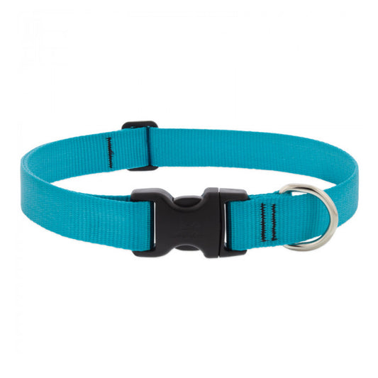BASICS Adjustable Collar AQUA 1" FOR LARGE DOGS - 16"-28"