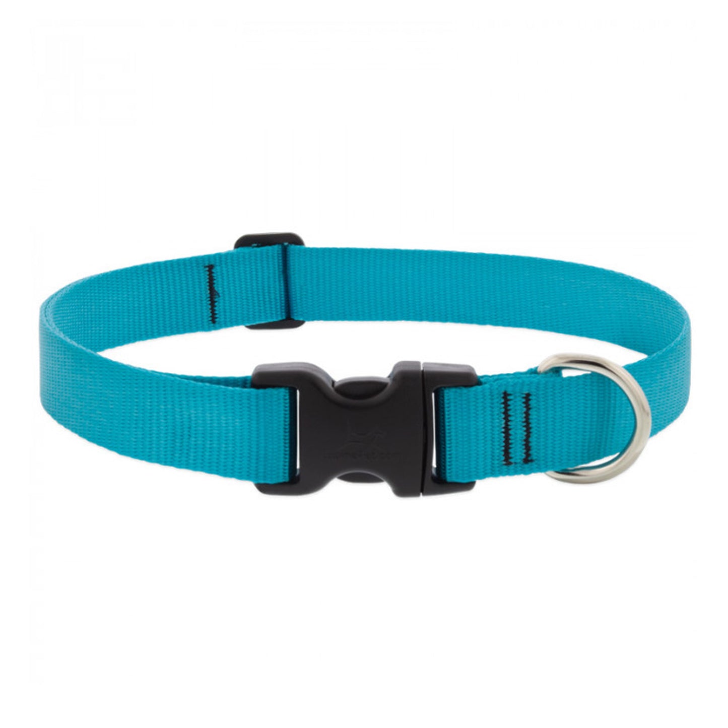 BASICS Adjustable Collar AQUA 1" FOR LARGE DOGS - 12"-20"