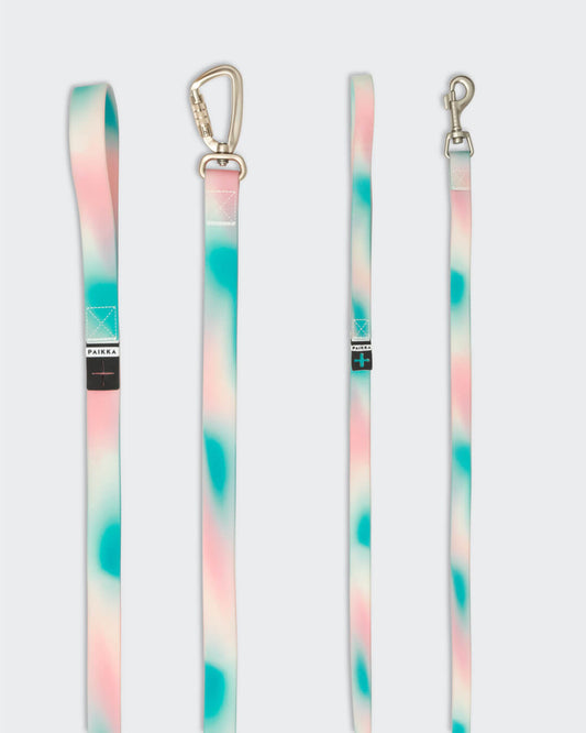 PAIKKA Glow Leash  for Dogs - OMBRE/1.5X180CM