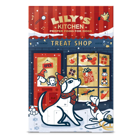 Lily's Kitchen Christmas 2025 Advent Calendar For Dogs 68G