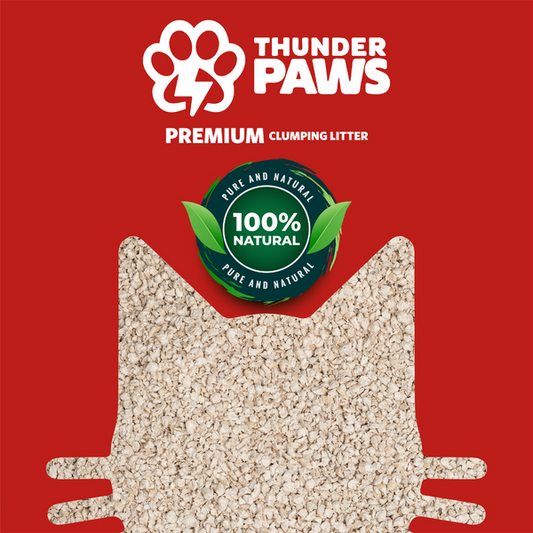 Thunder Paws Premium Hard Clumping Clay Cat Litter