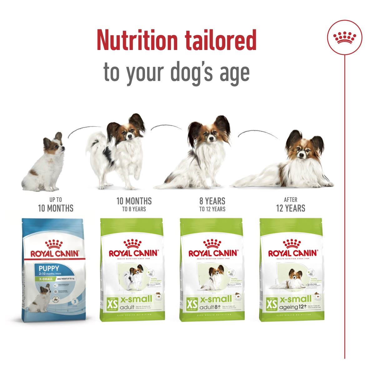 Royal Canin Size Health Nutrition XS Adult 8+ 1.5 kg