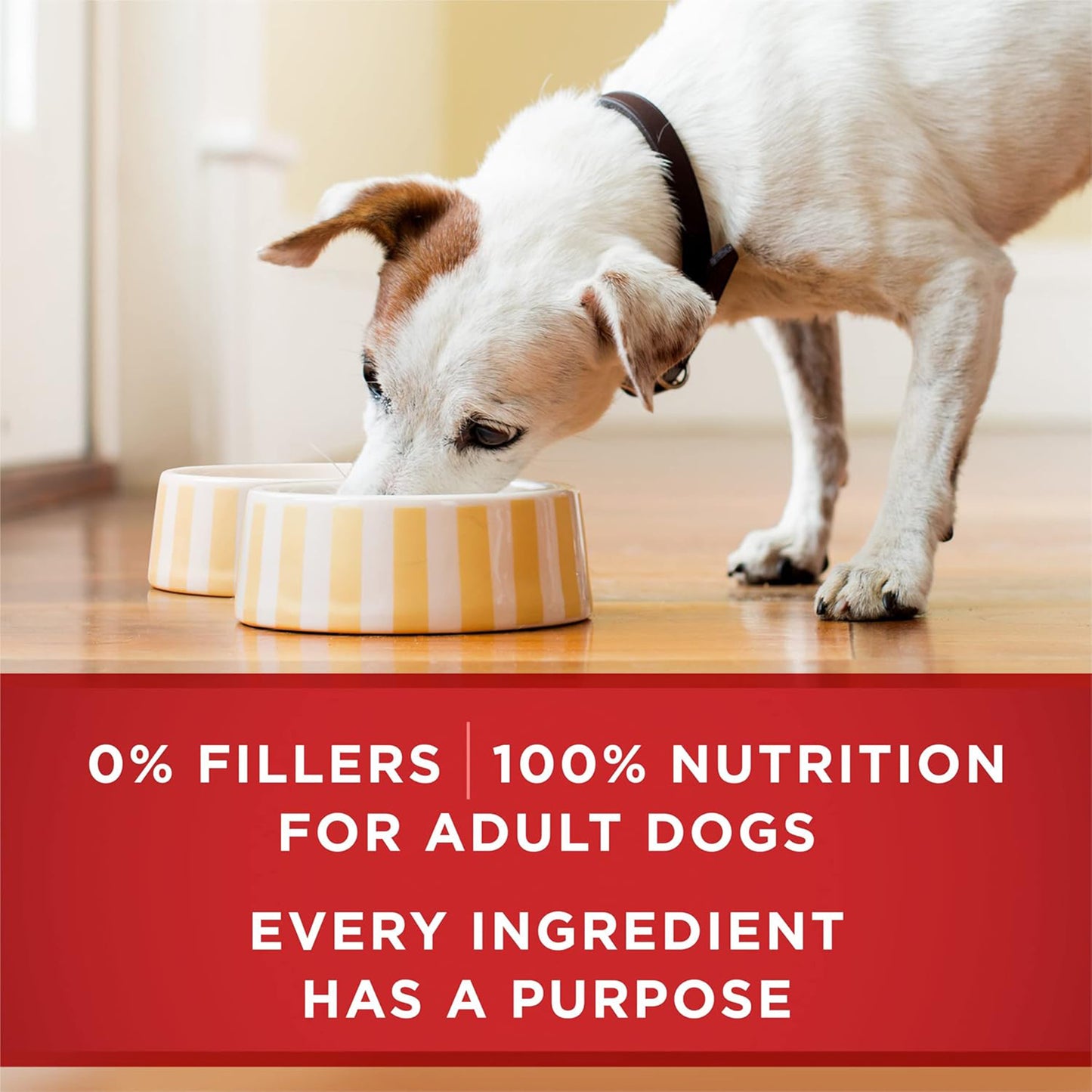 (368gm) (Pack of 12) Purina ONE Classic Wet Dog Food with Ground Beef & Brown Rice Entrée
