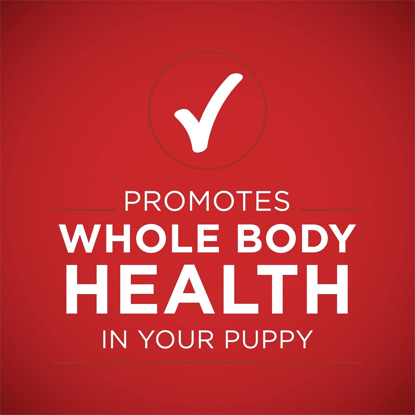 (368gm) (Pack of 12) Purina ONE Plus Classic Wet Puppy Food with Lamb & Long Grain Rice Entrée