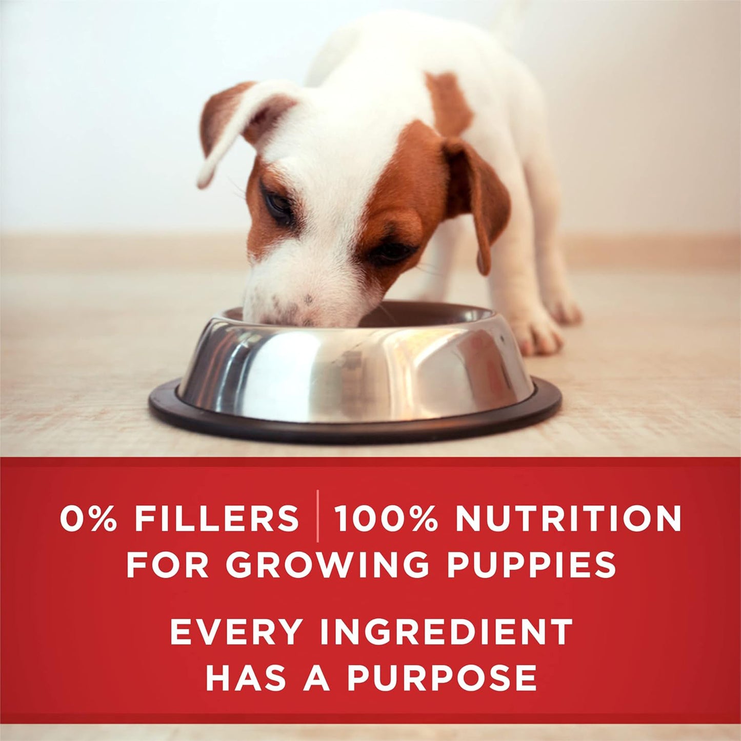 (368gm) (Pack of 12) Purina ONE Plus Classic Wet Puppy Food with Lamb & Long Grain Rice Entrée