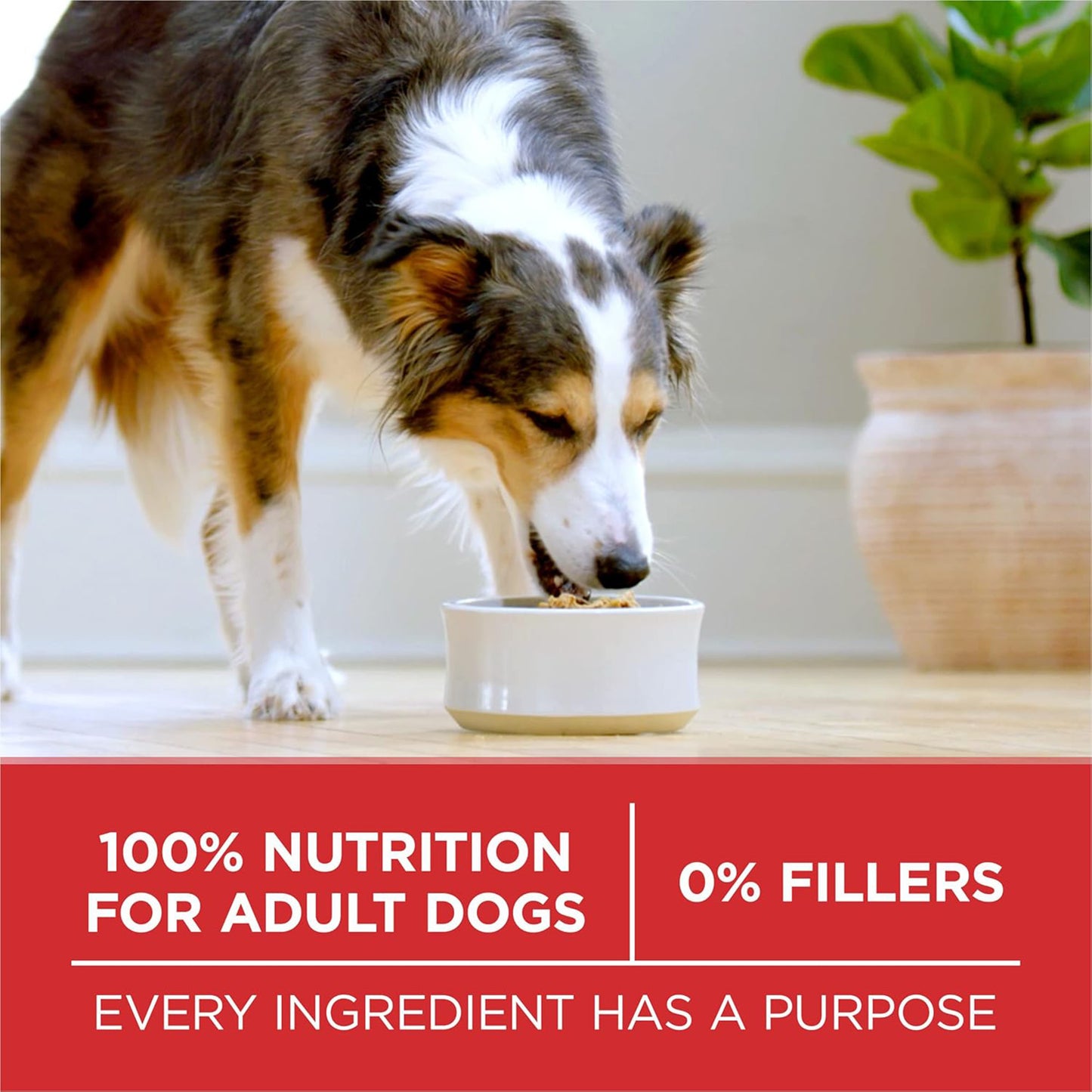 (1.36kg) Purina ONE Dry Dog Food with Chicken & Rice Formula